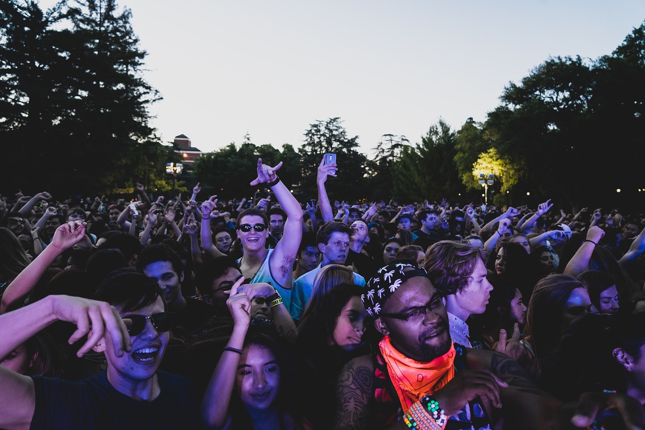 Concert crowd red flags